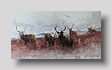 stags 1   watercolour  36 x 66cm